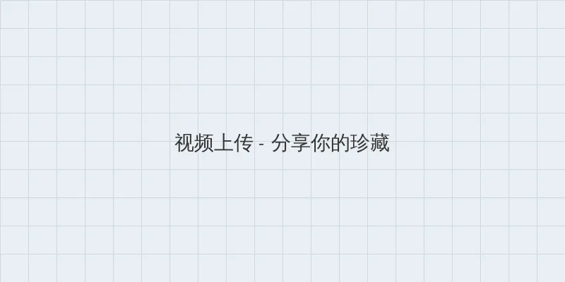 第三辣荷包网 视频上传区域